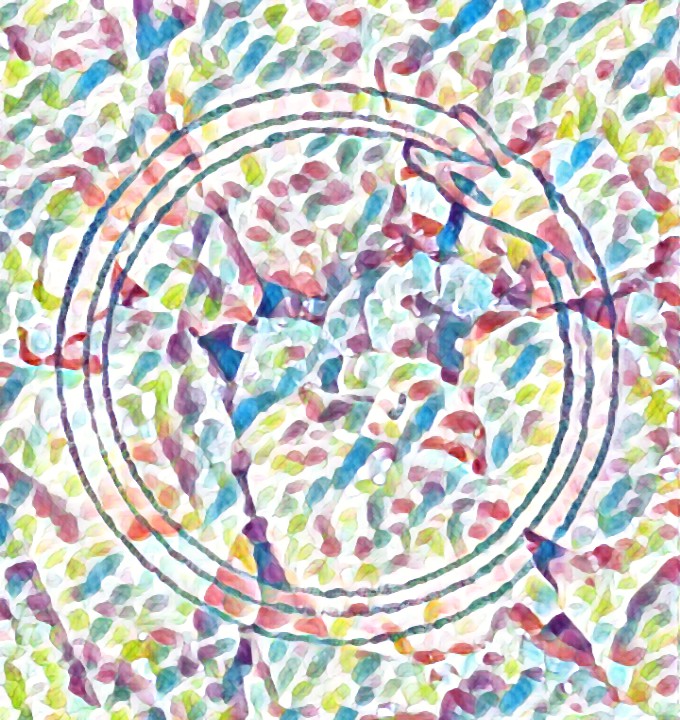 ouroboros22 NFT on Algorand