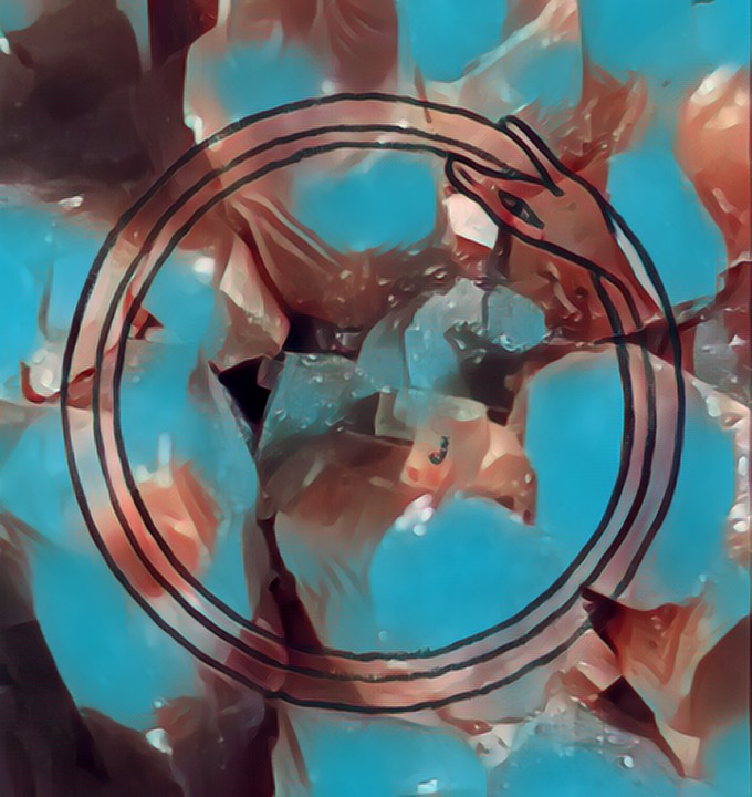 ouroboros19 NFT on Algorand