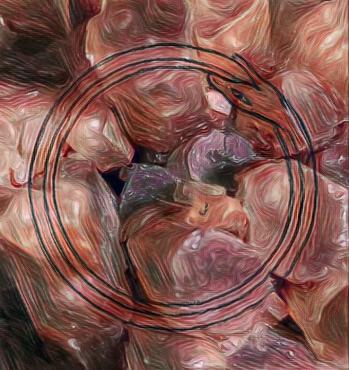 ouroboros40 NFT on Algorand