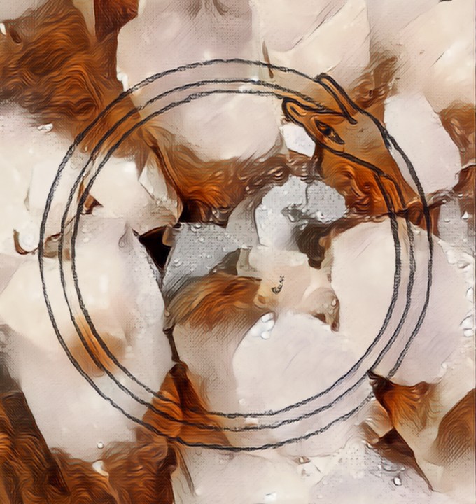 ouroboros48 NFT on Algorand