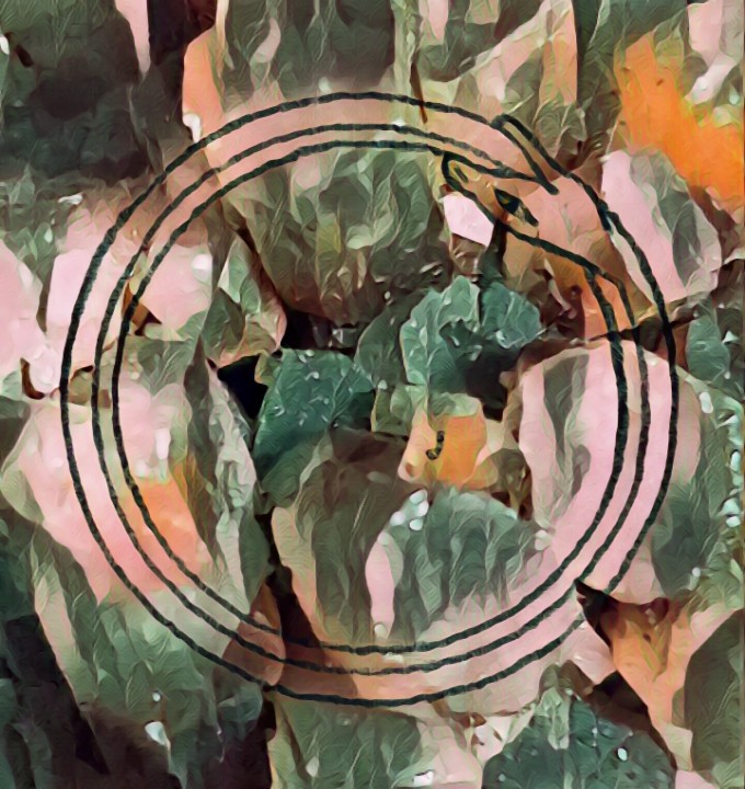 ouroboros24 NFT on Algorand